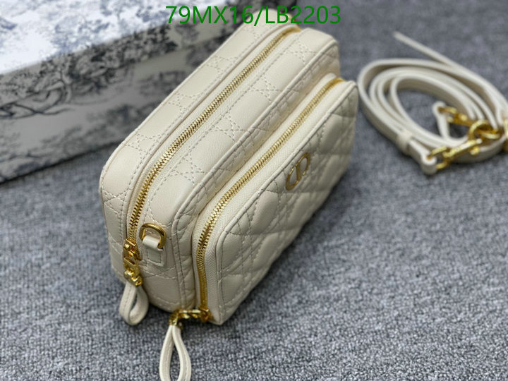 Dior Bags-(4A)-Other Style-,Code: LB2203,$ 103USD