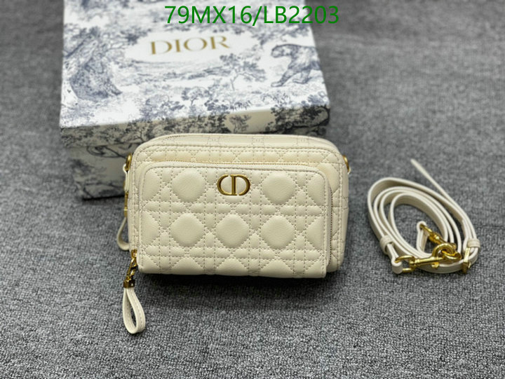 Dior Bags-(4A)-Other Style-,Code: LB2203,$ 103USD