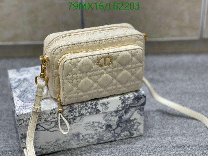 Dior Bags-(4A)-Other Style-,Code: LB2203,$ 103USD